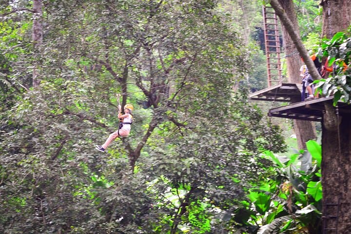 3 Days in Chiang Mai: Zipline, Doi Inthanon Hike & Ethical Elephant Visit photo 2