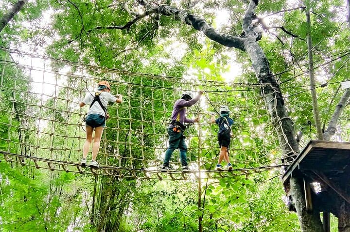 3 Days in Chiang Mai: Zipline, Doi Inthanon Hike & Ethical Elephant Visit photo 3