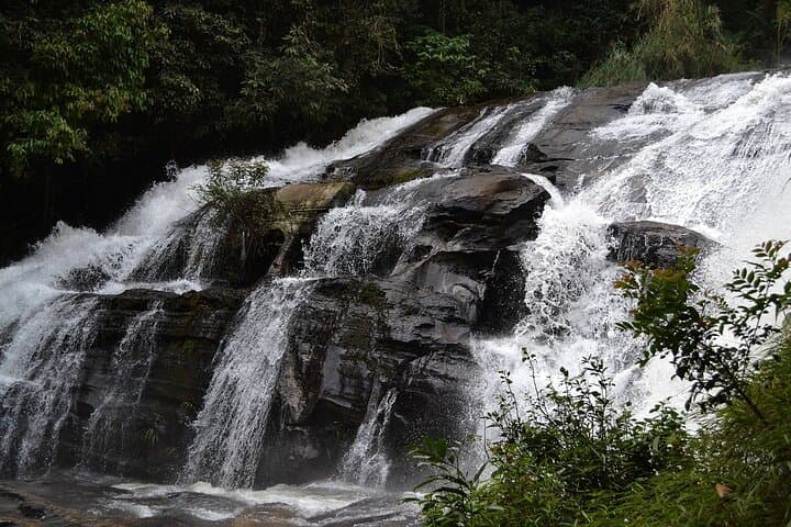 3 Days in Chiang Mai: Zipline, Doi Inthanon Hike & Ethical Elephant Visit photo 4