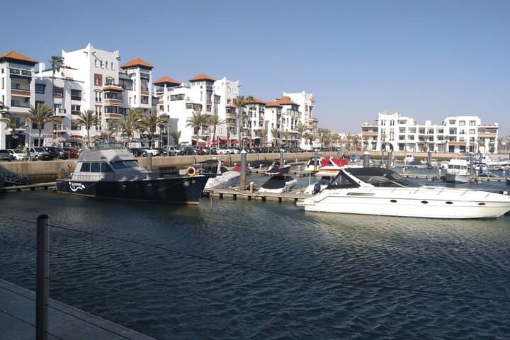 Marrakech to Agadir Full-Day Coastal Tour — Crocoparc, Kasbah Oufella & Marina Lunch photo 4
