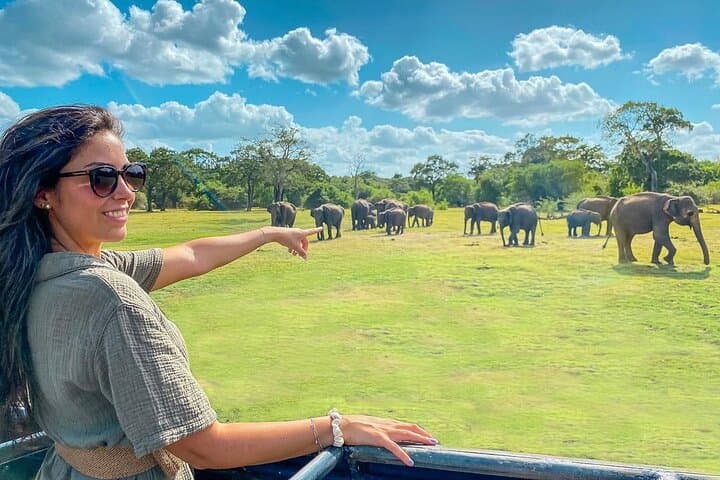 7-Day Private Sri Lanka Tour: Safari, Sigiriya & Hill Country photo 1