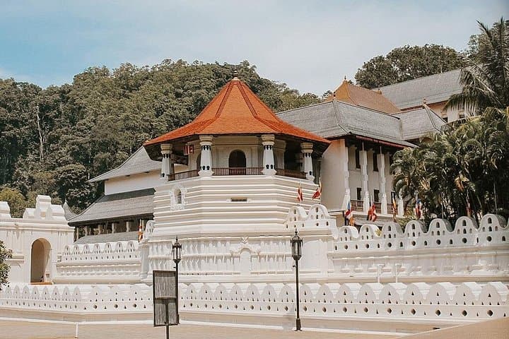7-Day Private Sri Lanka Tour: Safari, Sigiriya & Hill Country photo 3