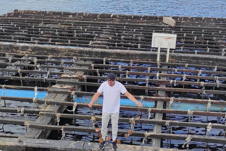 Private Rías Baixas Shore Tour — Wineries, Combarro & Island Mussel Farms photo 2