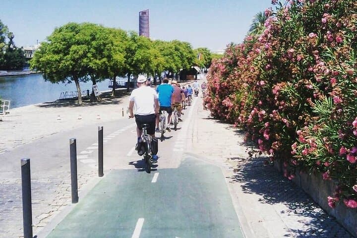 Cycle the Guadalquivir: Seville Bike Tour to Alamillo Park & American Gardens photo 3