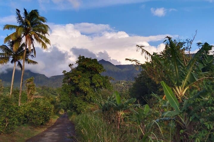 Waitukubuli 17-Day Crossing: Dominica's Long-Distance Trail photo 5