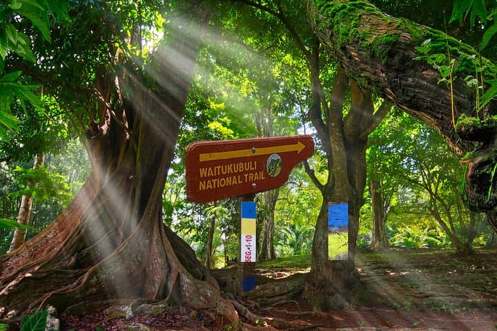 Waitukubuli 17-Day Crossing: Dominica's Long-Distance Trail photo 4