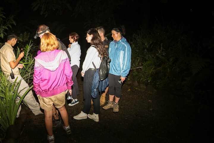 Síndria Twilight Walk Through the Rainforest: Night Hike & Hot Springs Near La Fortuna
