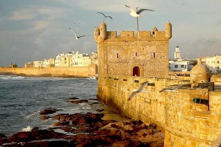 Essaouira Private Full-Day Trip from Casablanca — Beach, Medina & Coastal History photo 4