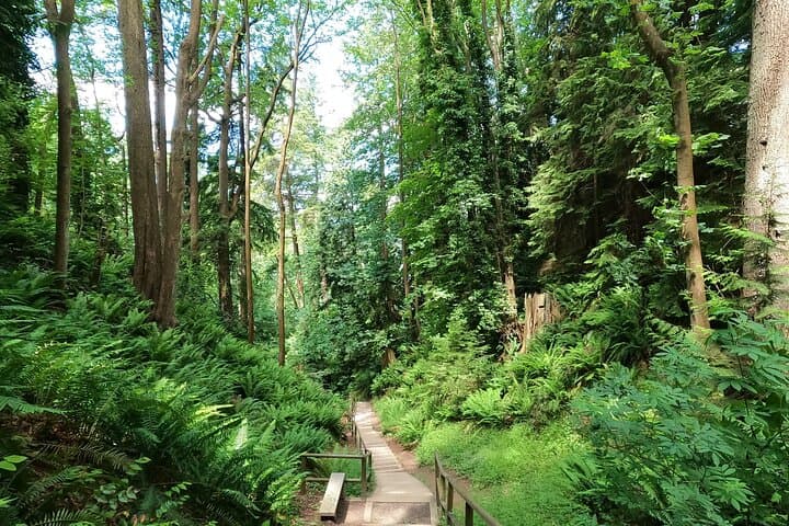 Vancouver Stair-Master Beach Workout: 500 Steps & Coastal Walk photo 3