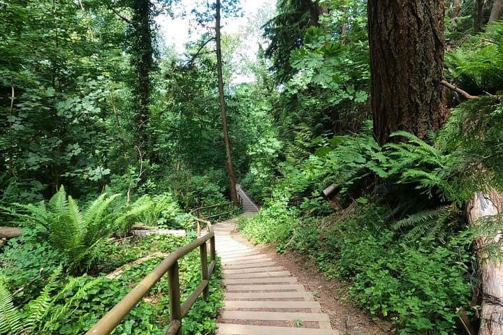 Vancouver Stair-Master Beach Workout: 500 Steps & Coastal Walk photo 4