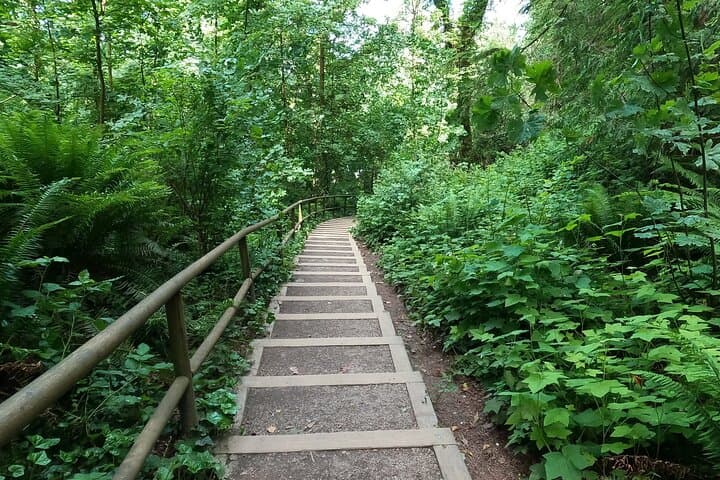 Vancouver Stair-Master Beach Workout: 500 Steps & Coastal Walk photo 5