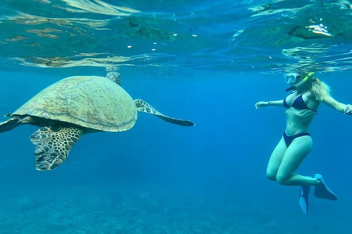 Hawaiian Culture & Snorkel Adventure at Electric Beach — Guided Snorkel with Photos photo 2