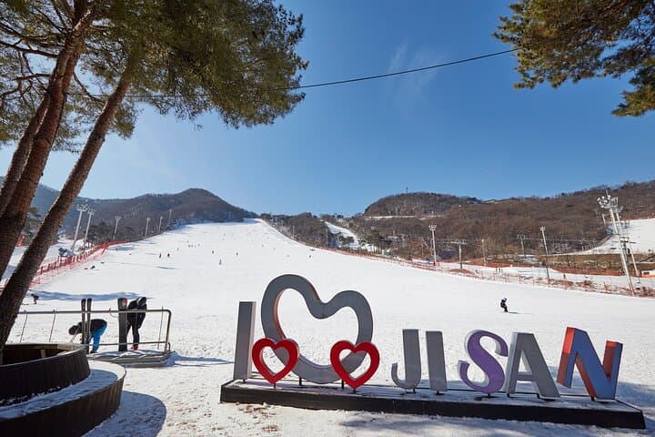 Day Ski Trip from Seoul to Jisan Forest Resort — Beginner Lessons & Isaac Toast photo 3