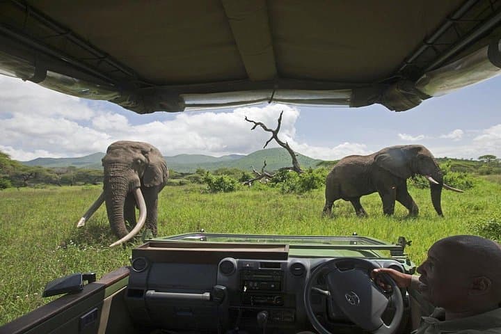Victoria Falls 3-Day Safari and Zambezi Dinner Cruise photo 3