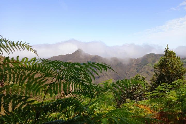 Hiking Amazing Anaga — Laurisilva Trails & Coastal Ridges in Tenerife