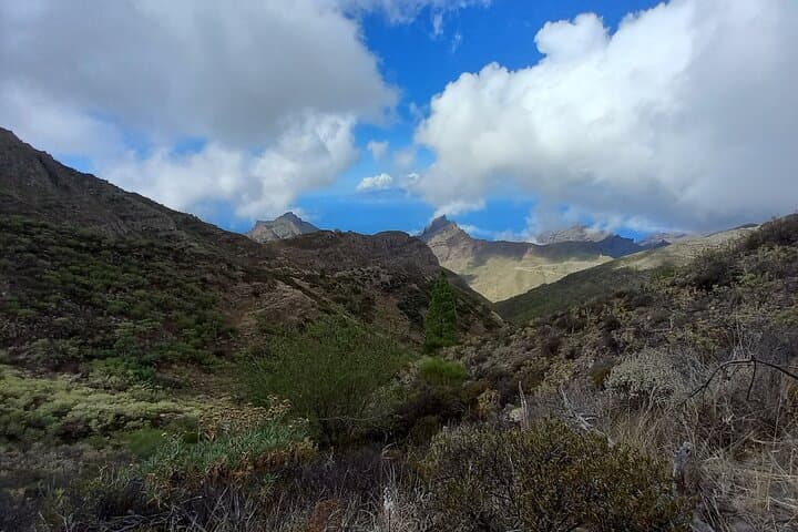 Masca From Above: Tenerife Ridge Hike with Laurel Forest & Teide Views photo 2