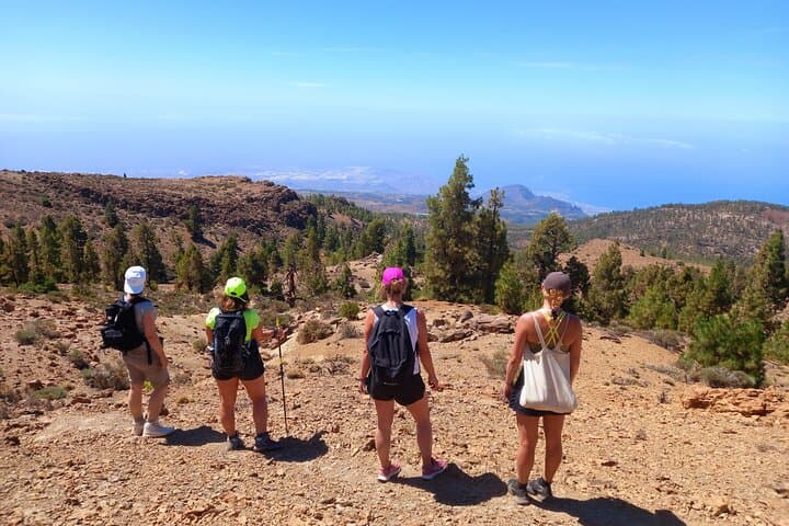 Guided Hiking Across Tenerife: Volcano Trails, Coastal Cliffs & Laurel Forests
