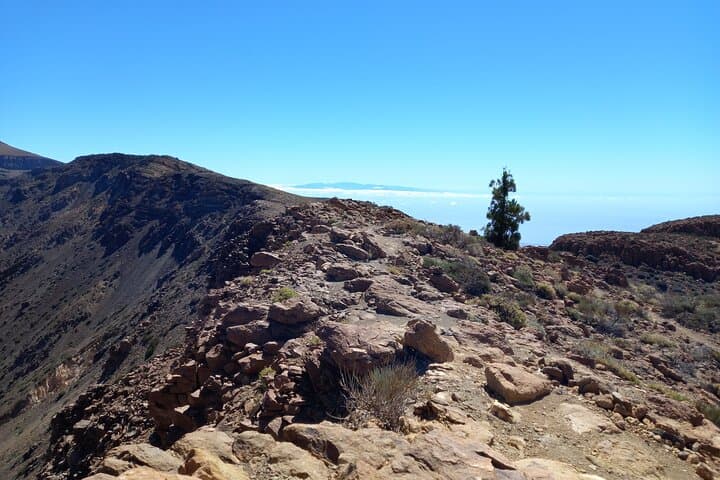 Guided Hiking Across Tenerife: Volcano Trails, Coastal Cliffs & Laurel Forests photo 5