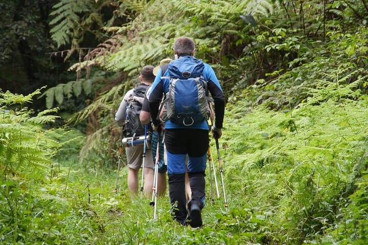 7-Day Rongai Route Kilimanjaro Climb: Remote Summit via the North Approach photo 4