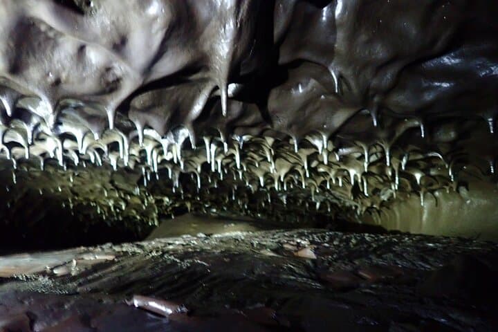 Explore the 2004 Coulées Lava Tunnel of Sainte-Rose — Guided Caving on Réunion