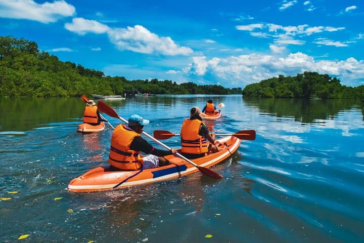 Bali Mangrove Canoeing Tour — Paddle Benoa’s Coastal Forest & Support Conservation photo 5