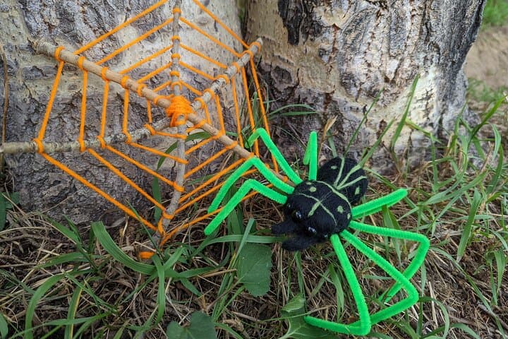 Make Felted Halloween Spiders in Estes Park — Needle-Felting Class photo 4