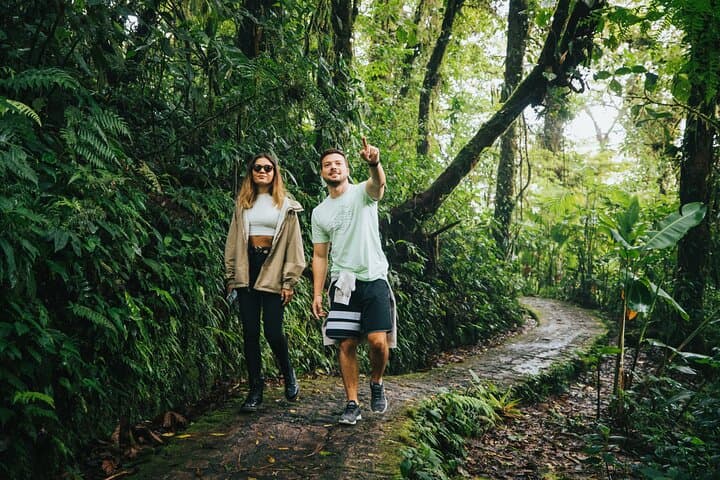 Selvatura Hanging Bridges: Monteverde Canopy Walkway Guide photo 4