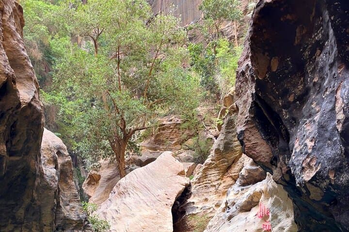 Wadi Lajab Canyon Hike: Abha's Desert-Valley Waterfalls & Black Mountain photo 6