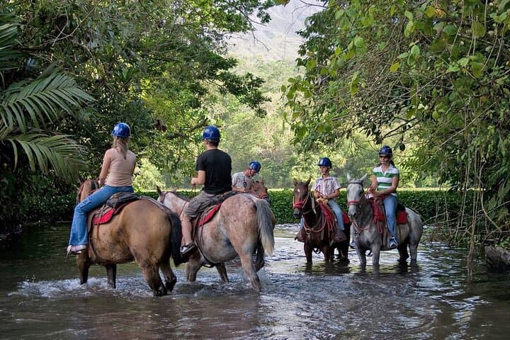Horseback Riding Around Arenal Volcano Base: Ride Through Primary Forest and Lagoons photo 5