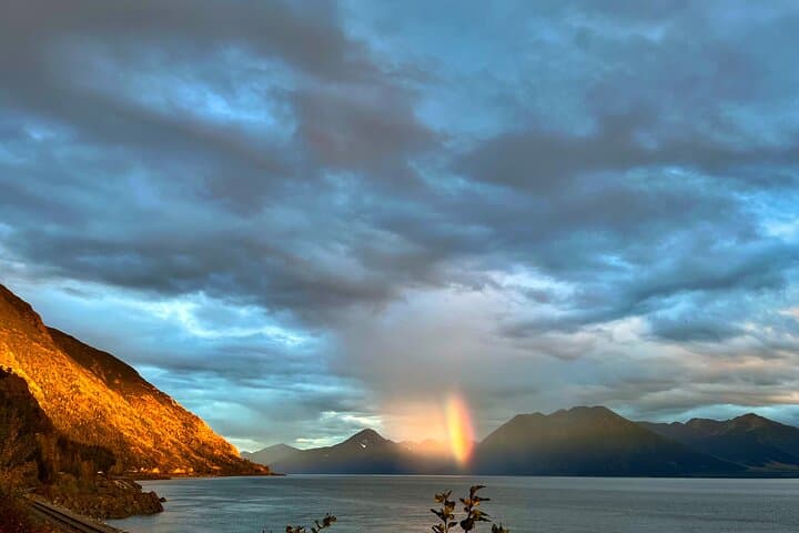 Anchorage Winter Wildlife & Sunset Tour: Turnagain Arm to AWCC photo 5