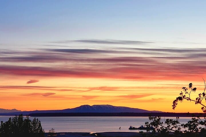 Anchorage Winter Wildlife & Sunset Tour: Turnagain Arm to AWCC photo 6