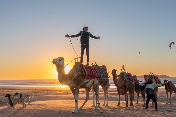 Private Marrakech Multi-Day Excursion: Ourika, Essaouira, Ait Ben Haddou & Agafay