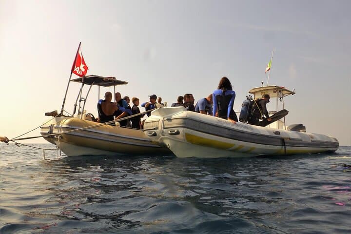 Underwater Trails of Plemmirio: 2-Hour Certified Dive in Syracuse photo 4