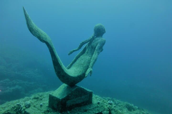 Underwater Trails of Plemmirio: 2-Hour Certified Dive in Syracuse photo 5