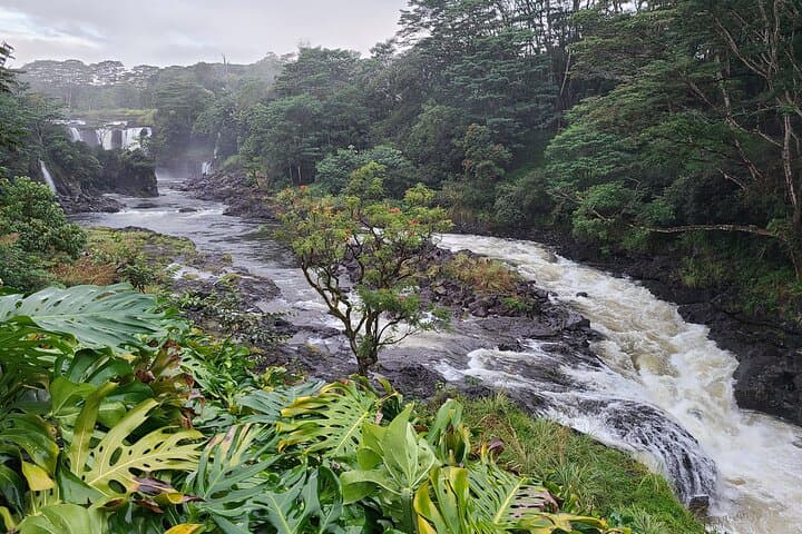 Private Volcanoes National Park and Hilo Tour: Kilauea Trails and Lava Views photo 6