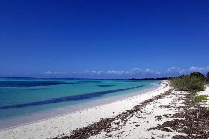 Private Cozumel Island Tour — Punta Sur National Park & East‑Coast Beach Break photo 4