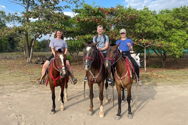 Jaco Beach Horseback Ride to Ocean Viewpoint — 2-Hour Coastal Trail with Rainforest Wildlife photo 6