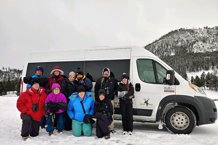 Grand Teton Wildlife Safari: Dawn & Dusk Jeep Tours from Jackson Hole photo 2