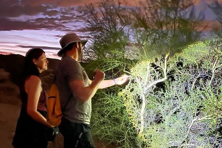 Sunrise & Sunset Guided Hike on South Mountain: 2–3 Hour Sonoran Desert Experience photo 2