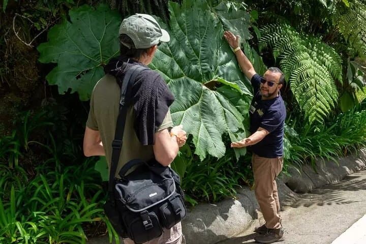Explore Poás Volcano, La Paz Waterfall Gardens & Costa Rican Coffee Plantations in a Full Day Tour photo 2