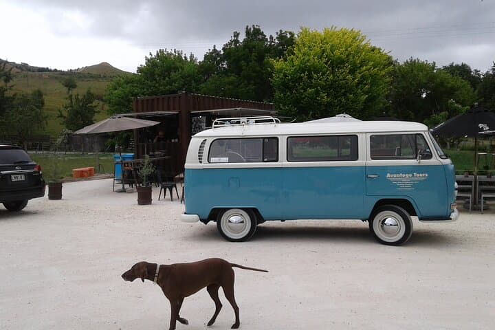 Napier & Hawke's Bay VW Kombi Scenic and Art Deco Tour photo 2