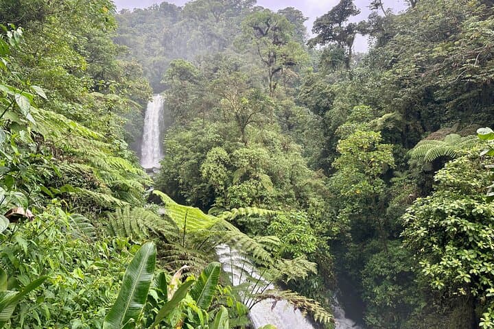 Explore Poás Volcano, La Paz Waterfall Gardens & Costa Rican Coffee Plantations in a Full Day Tour photo 3