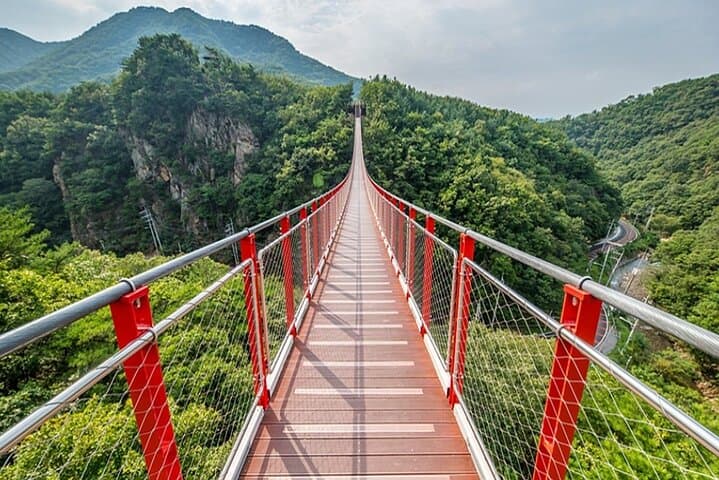 Private DMZ Tour — 3rd Tunnel, Dora Observatory & Suspension Bridge Experience
