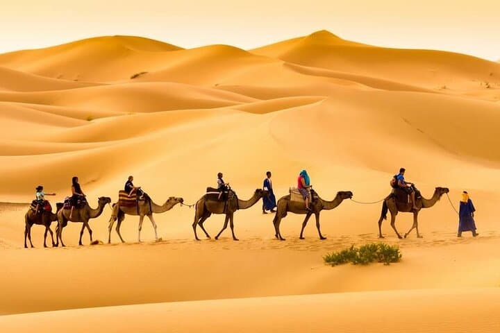 Merzouga Camel Trek: Luxury Overnight in Erg Chebbi with Sandboarding & Dinner photo 3