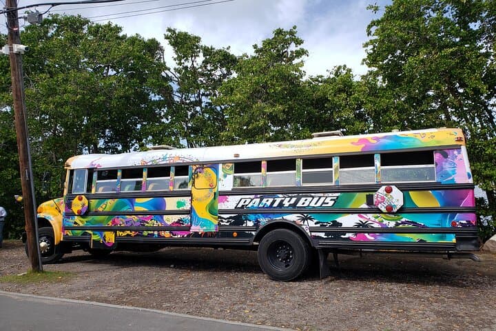 St Kitts Party Bus: Half-Day Basseterre City Tour and Frigate Bay Beach photo 4
