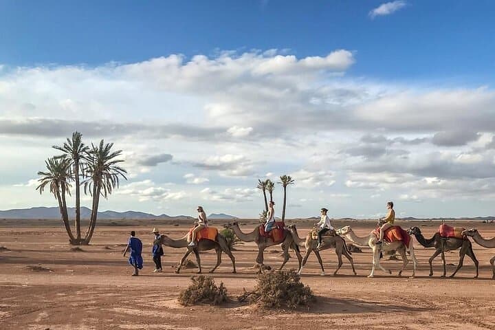 Palmeraie Camel Ride and Quad Bike Adventure from Marrakech photo 4