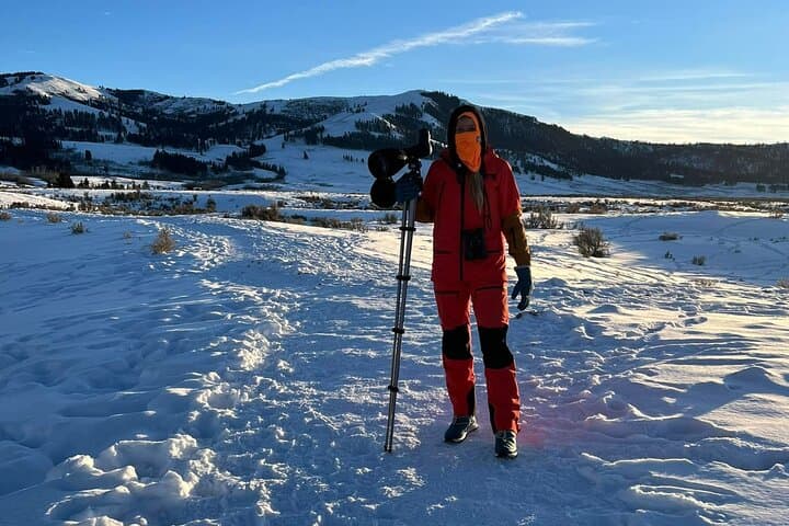 Private Yellowstone Winter Wildlife Safari: Morning Wolf-Viewing from Gardiner photo 4