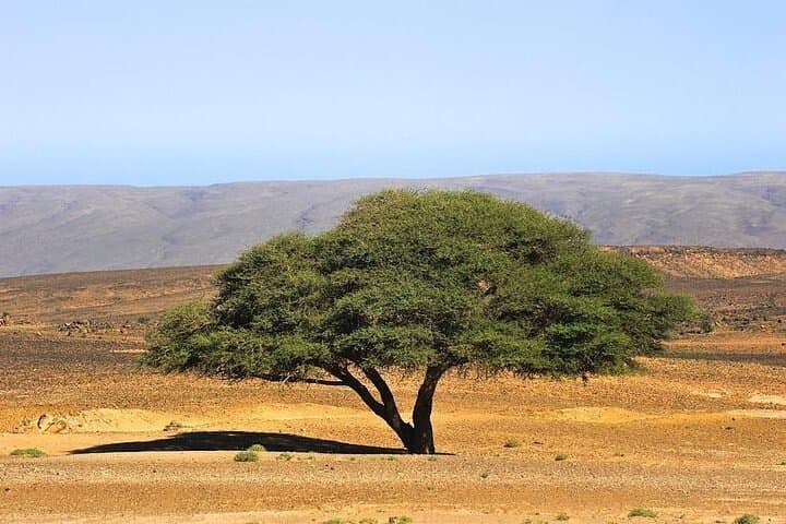 Three-Day Marrakech to Erg Chegaga: Camel Rides, Dunes & Desert Camps photo 4