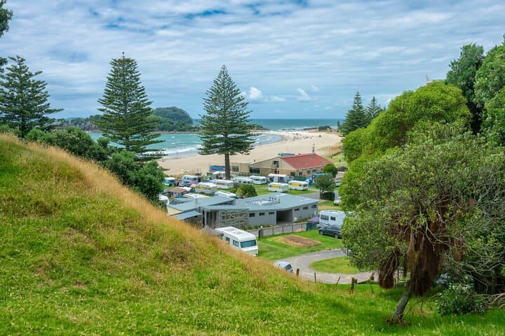 Best of Tauranga: Private Walking Tour of Elms, Galleries & Historic CBD photo 3