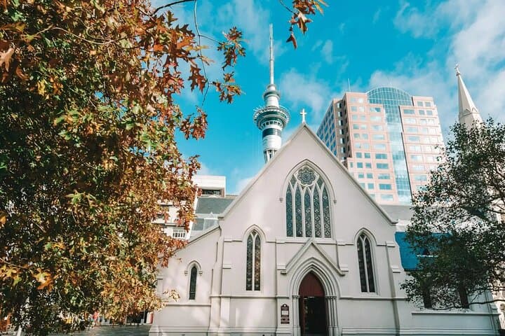 Best of Auckland Private Walking Tour: Maungakiekie, Sky Tower & Waterfront Highlights
